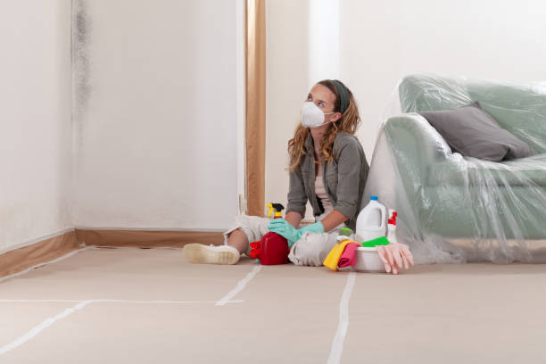 Trusted Mold Remediation service in New Egypt, NJ - Cheap Mold Removal